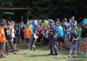 Taborniki iz Roda skalnih taborov taborijo v Stavči vasi